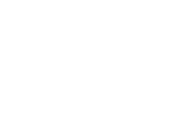 iFLO Pro logo